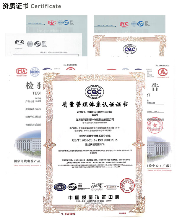 資質證書 資質證書